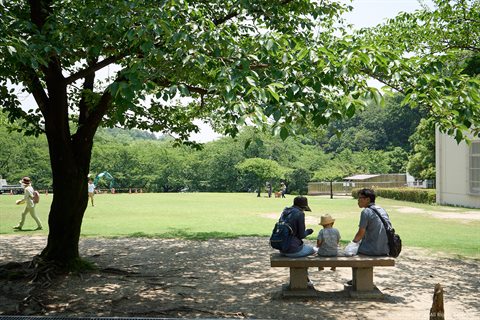 20180609-002.jpg