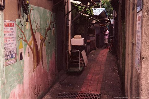 20190817-006.jpg