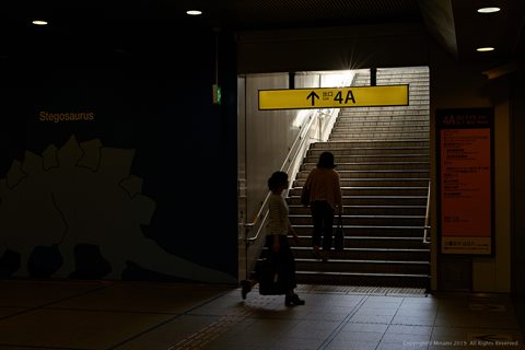 20190516-009.jpg