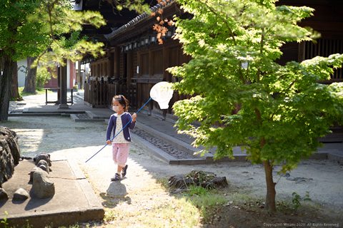 20200429-009.jpg